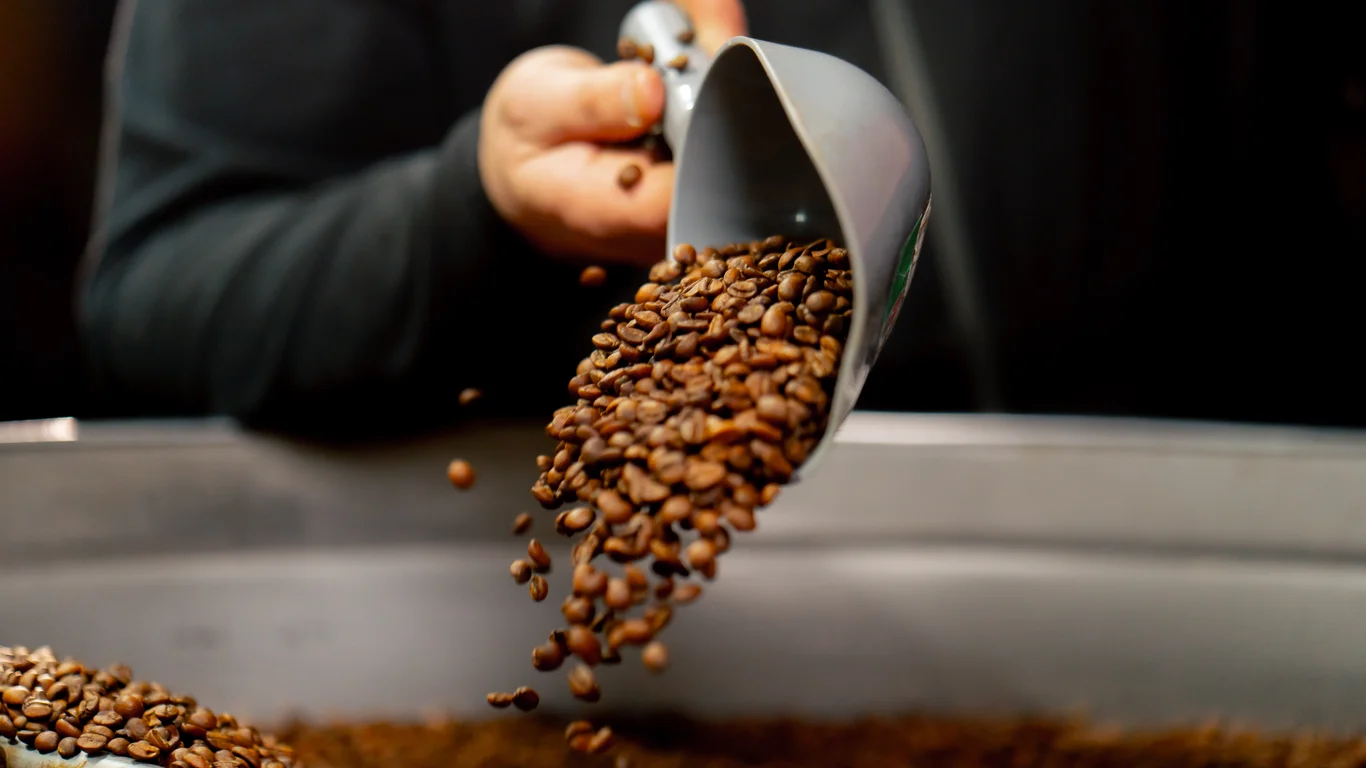 Panama specialty coffee - Close Up Of A Coffee Roasting Factory Worker Pours