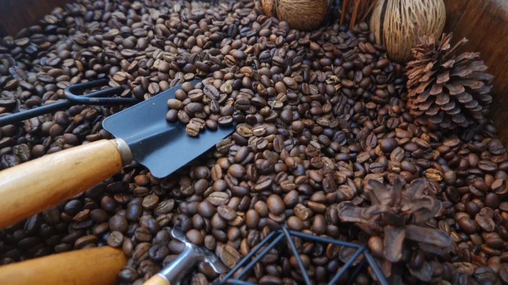 Panama specialty coffee - Close Up Roasted Coffee Beans