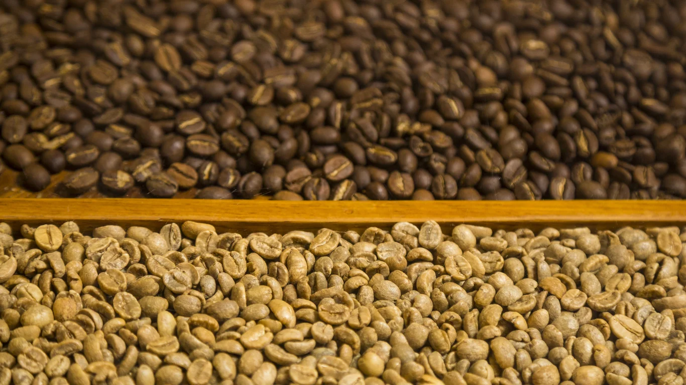 Panama specialty coffee - Close Up Two Types Coffee Beans Background