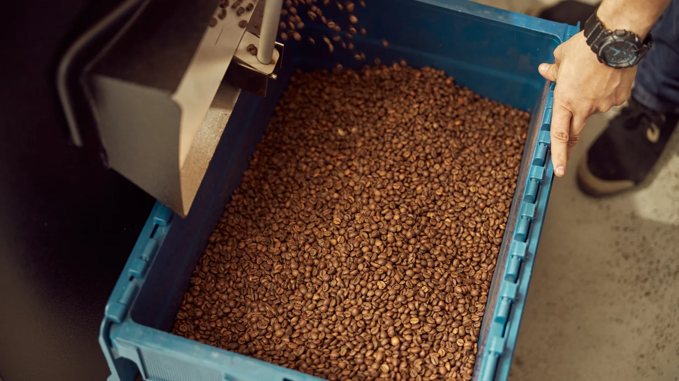 Panama specialty coffee - Coffee Bean Roasting Process With Blue Container