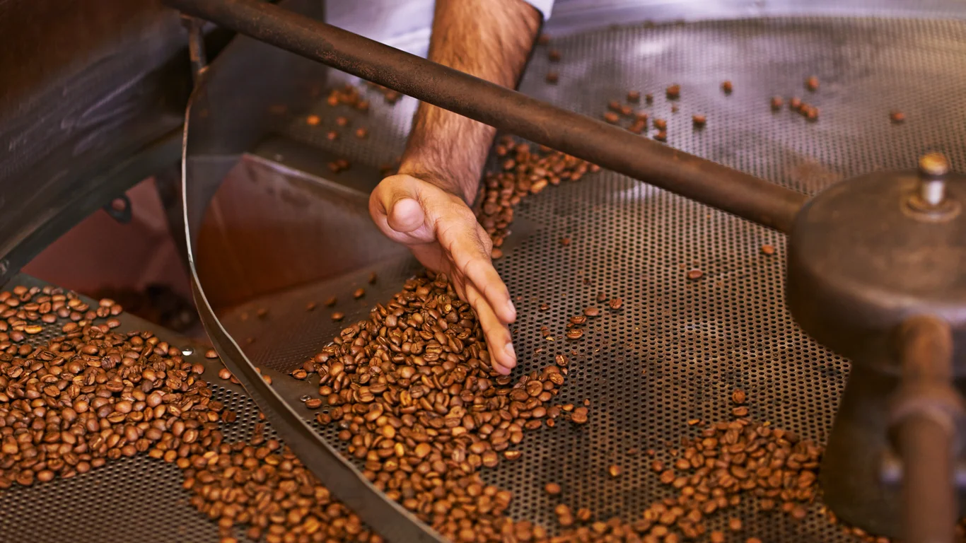 Panama specialty coffee - Coffee Beans Machine Hands Industry Roast Grinding Production Flavor Export Quality Assurance Person Factory Manufacturing Caffeine With Organic Stock Ecology
