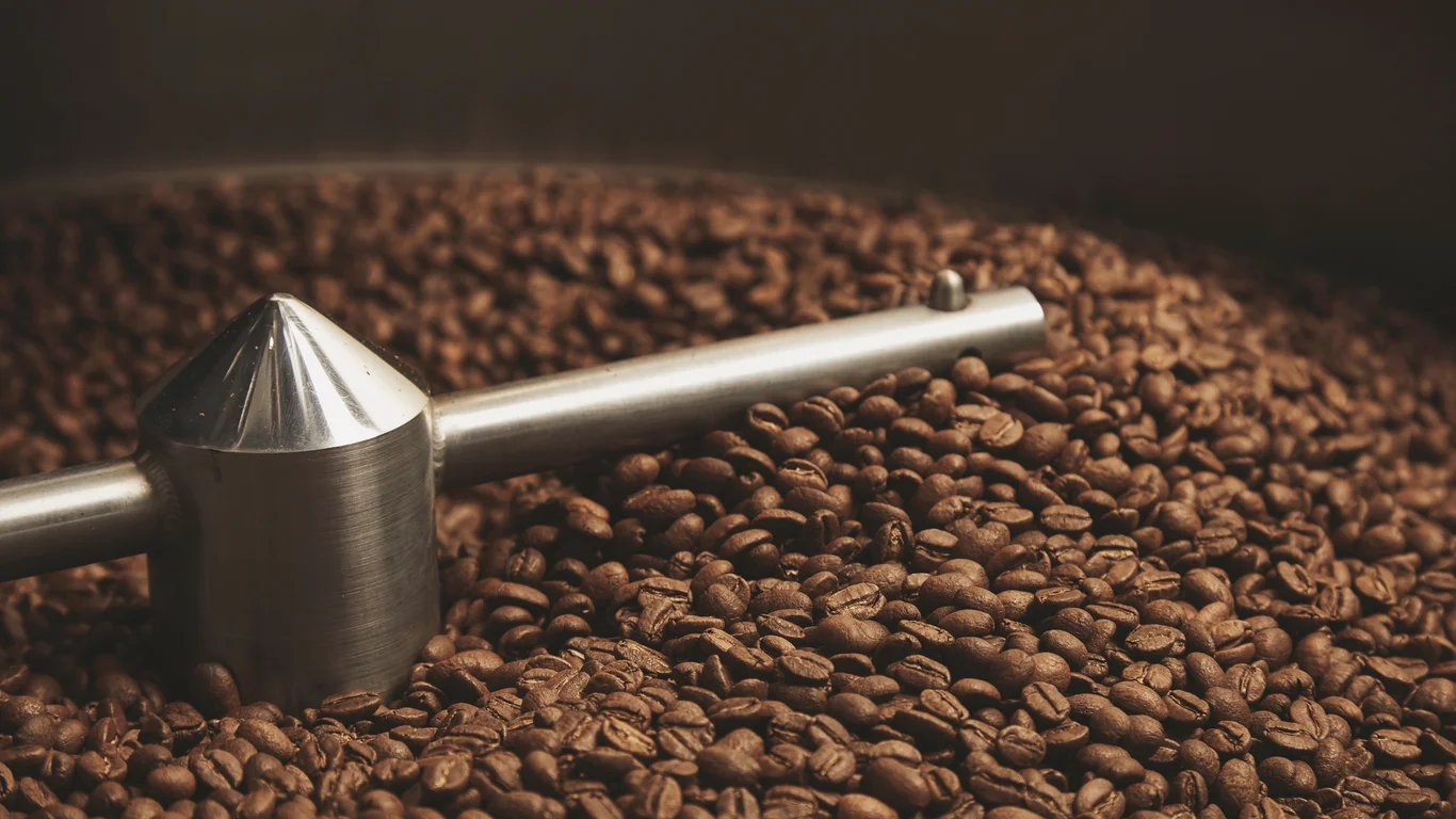 Panama specialty coffee - Dark Aromatic Chocolate Coffee Beans Freshly Baked Hot Cool Dawn Inside Best Professional Roasting Machine