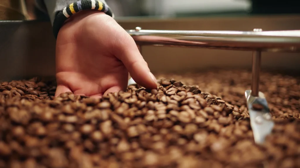 Panama specialty coffee - Medium Close Up Unrecognizable Male Hand Grabbing Fresh Roasted Coffee Beans