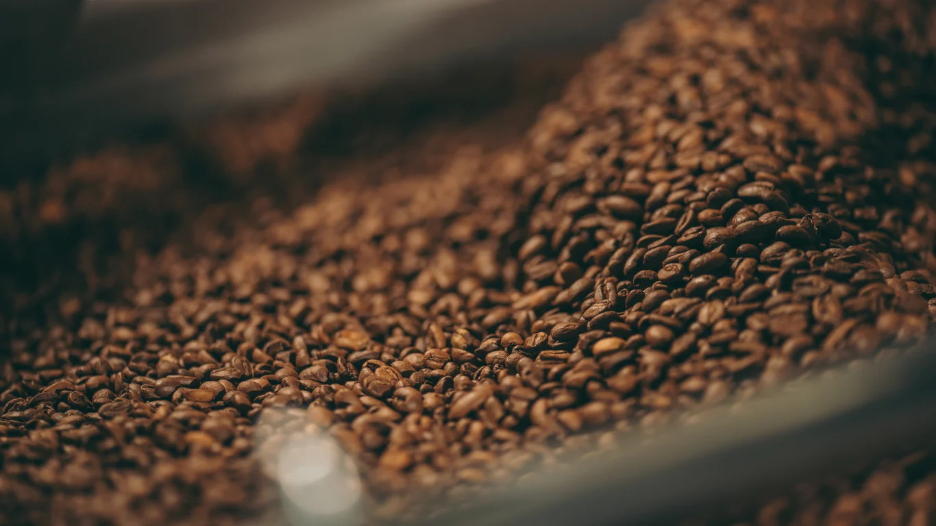 Panama specialty coffee - Pile Of Roasted Coffee Beans Macro Shot