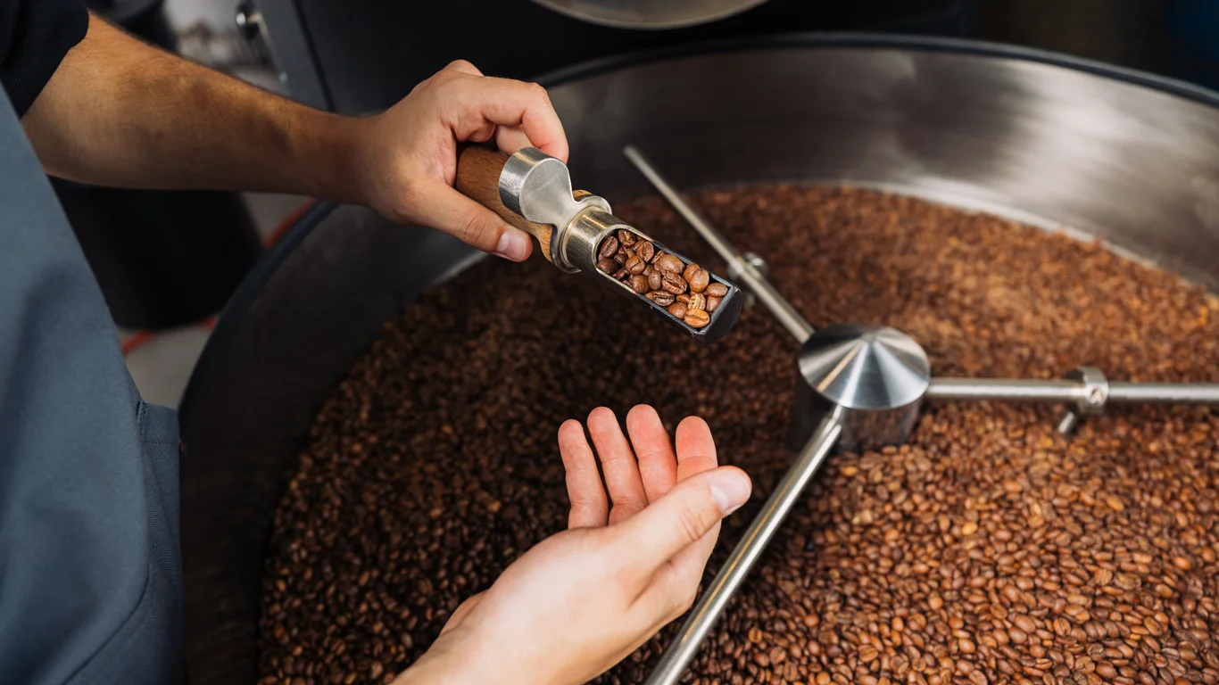 Panama specialty coffee - Roasted Coffee Beans In Industrial Processing Equi